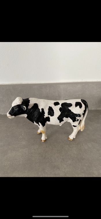Vache