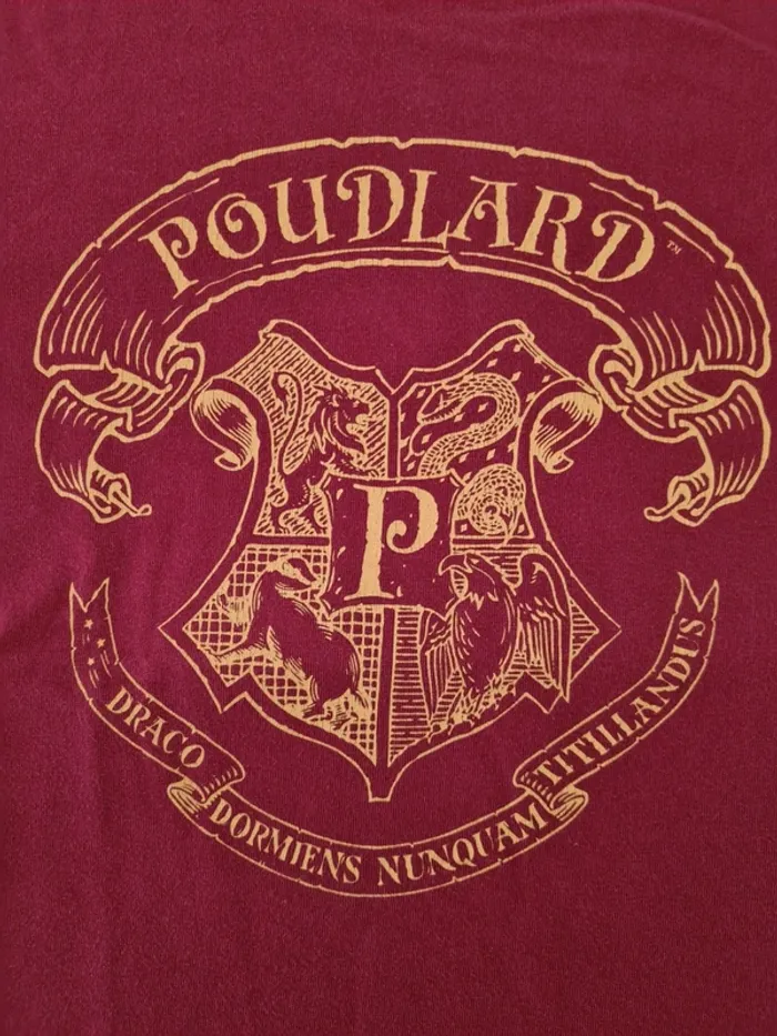 Ensemble Harry Potter Cyrillus - photo numéro 8