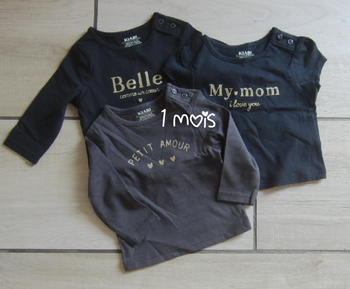 Lot de 3 tee shirts theme famille bébé fille
