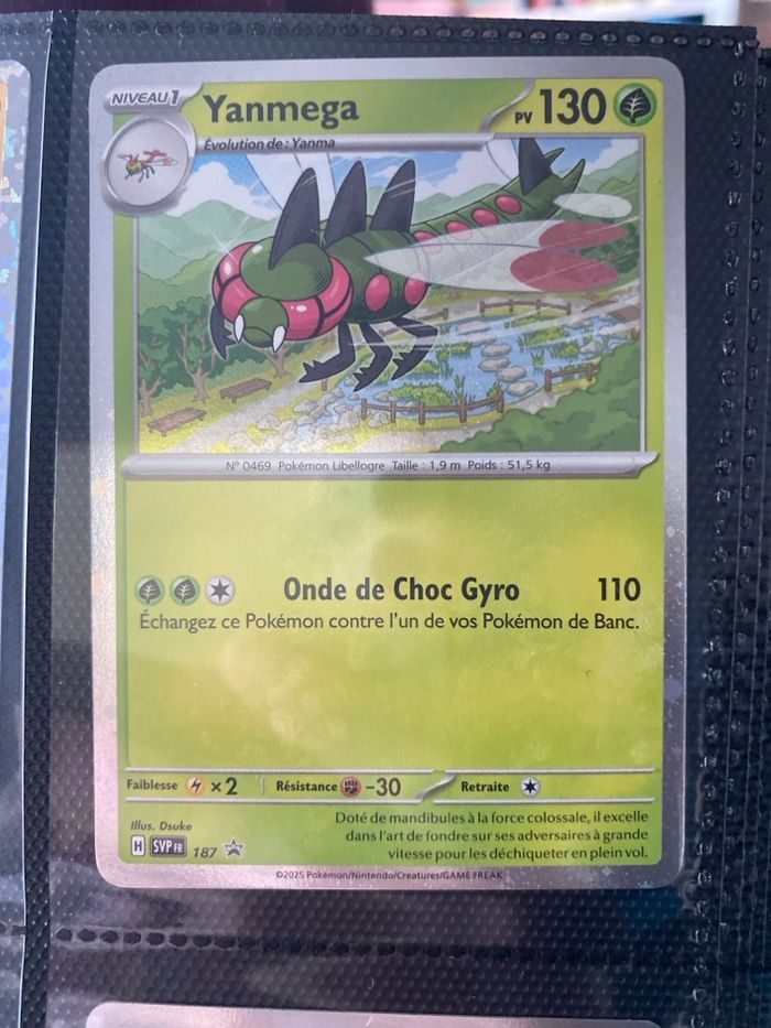 Carte Pokémon holographique neuf