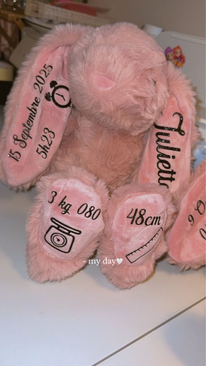 Doudou naissance - photo numéro 4