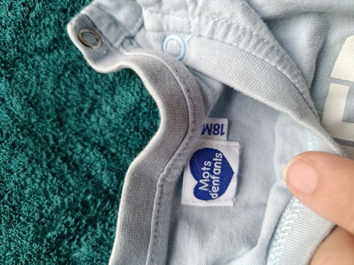 Tee shirt - photo numéro 3