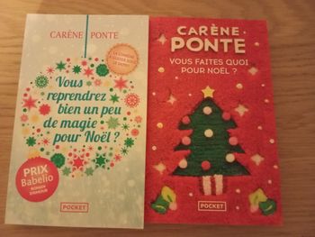 2 romances de Noël de Carène Ponte 