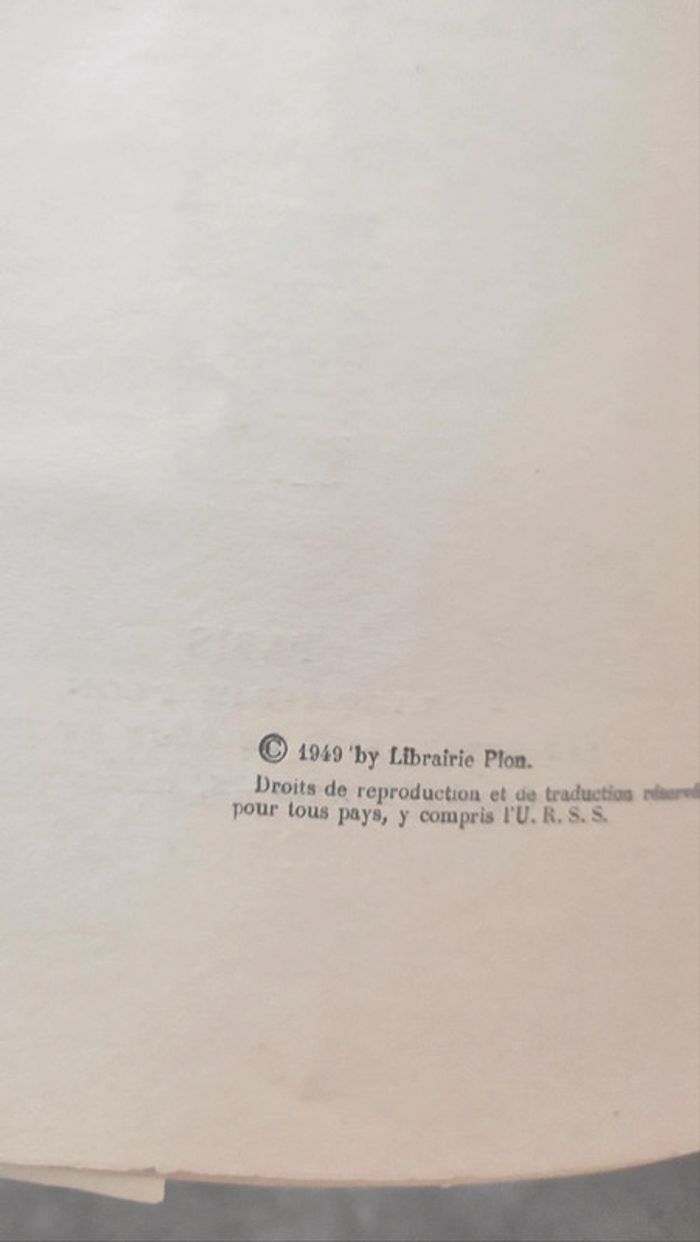 Histoire de la première armée Française - photo numéro 4