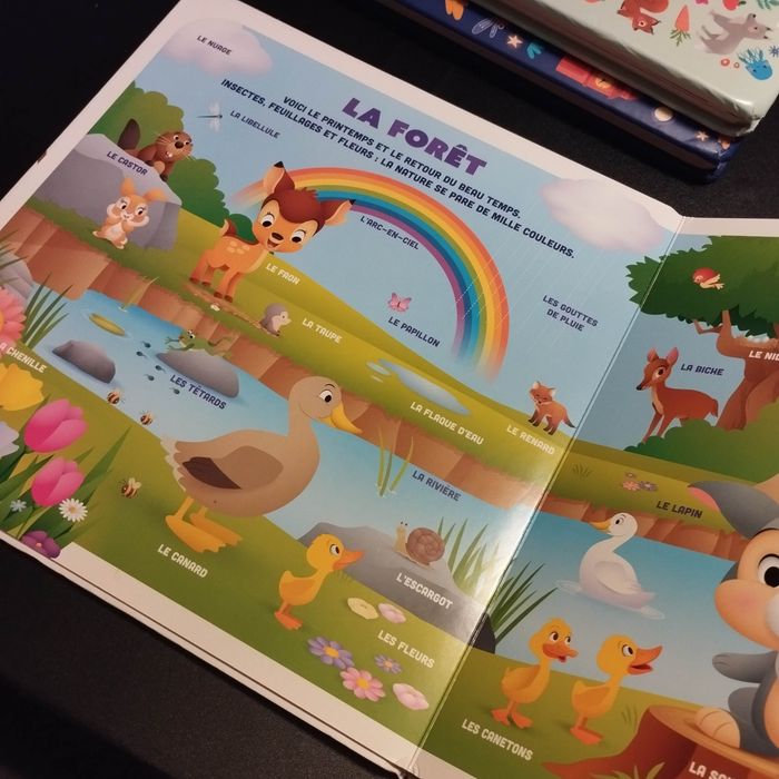 Livre Disney mes premiers imagiers mon grand imagier les premières notions - photo numéro 8