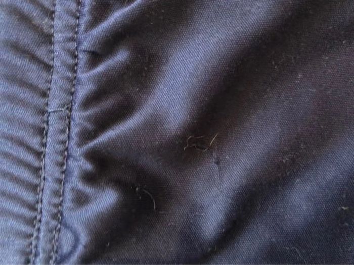 Short léger - photo numéro 5