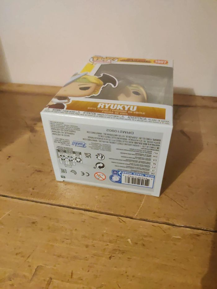 Pop 1007 Ryukyu - photo numéro 4