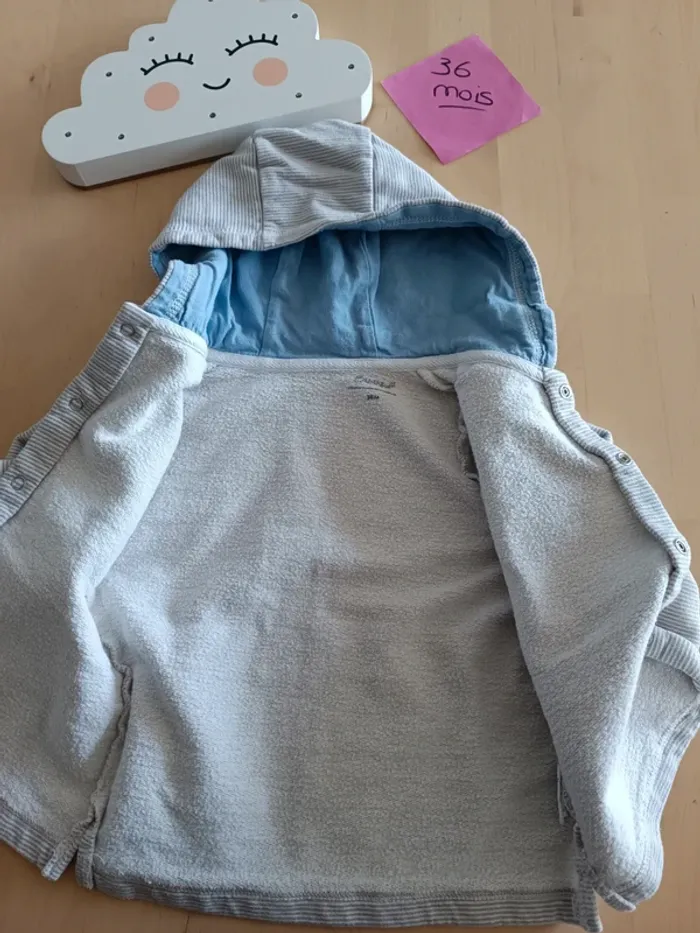 Gilet à capuche 36 mois - photo numéro 3