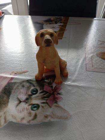 Figurine résine labrador