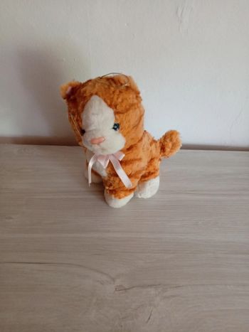 Jolie peluche chat orange