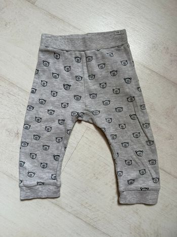 Pantalon jogging gris oursons