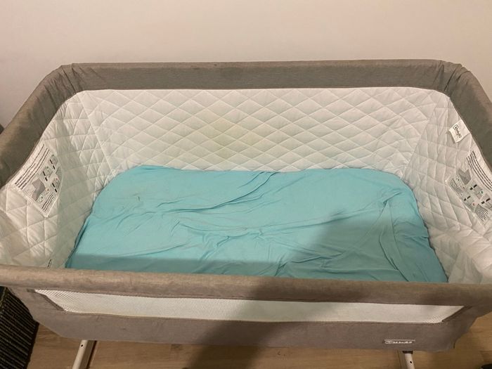 Cododo - photo numéro 3