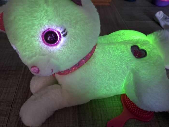 Chat Cuty Bella - photo numéro 4