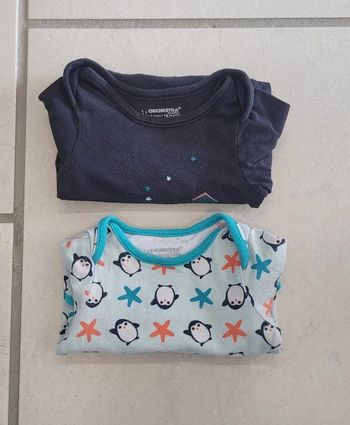 Lot bodys ML 12 mois