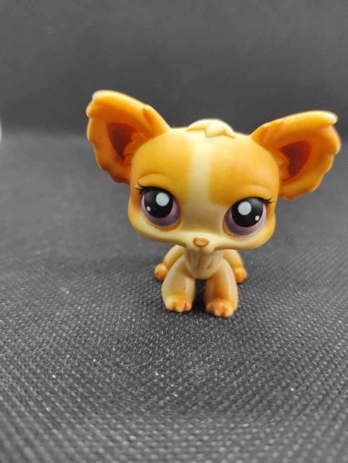 Littlest Petshop LPS dog chien papillon 96 chihuahua hasbro #geektradelpschien - photo numéro 2