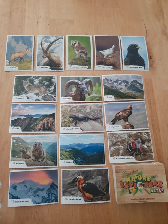 stickers nature explorers match complet