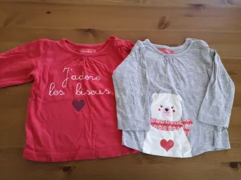 Lot 2 t-shirts 12 mois