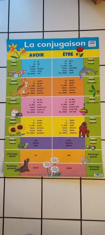 Grand poster éducatif la conjugaison