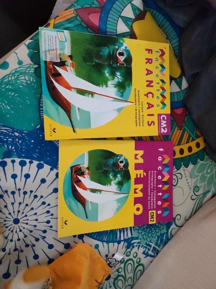 Facettes Français Cm2 + Mémo