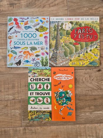 Lot de 4 livres cherche et trouve