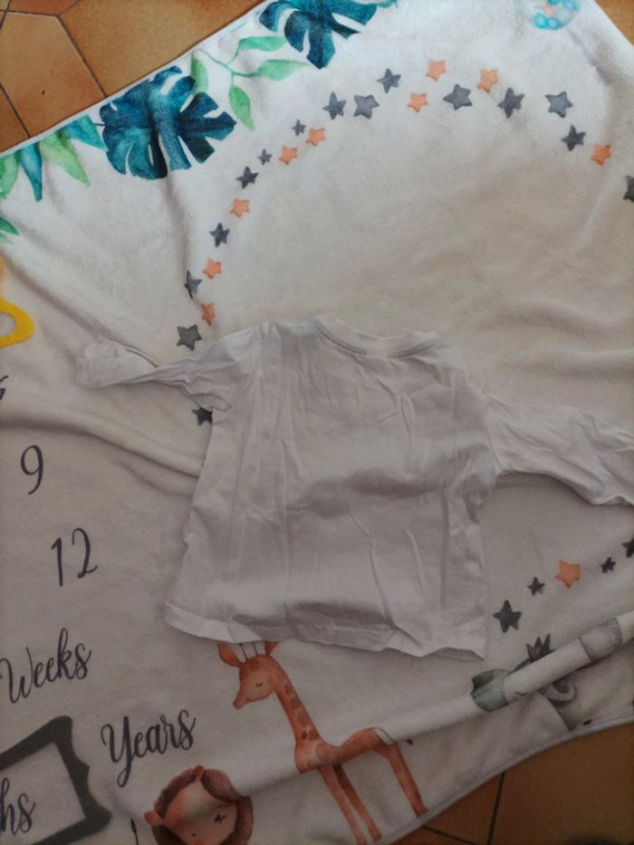 Tee shirt lion photo - photo numéro 4