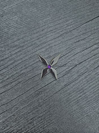 Bijou Miraculous du Papillon – univers Ladybug (livre)