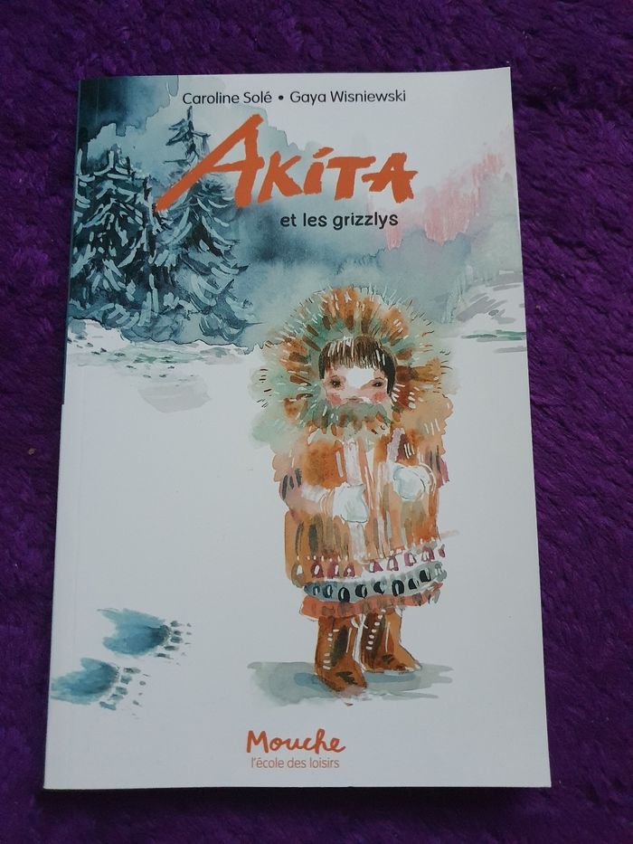 Roman jeunesse akita