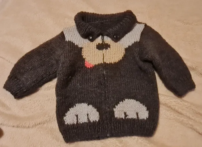 Lot pulls 2 ans - photo numéro 4