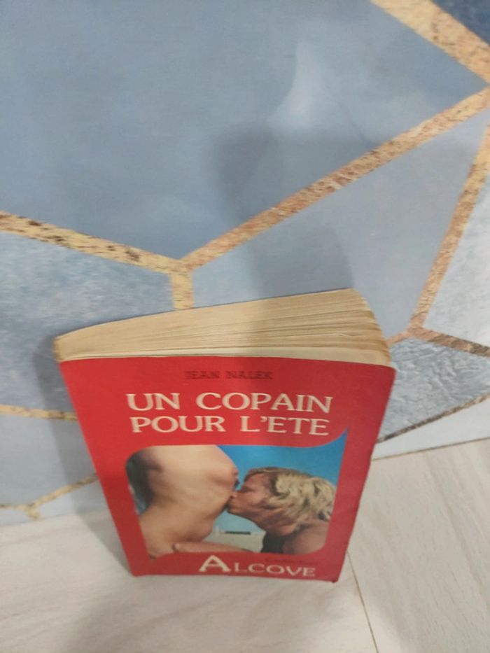 Livre poche érotique Un copain pour l'été Nalek collection Alcove adultes public averti - photo numéro 2