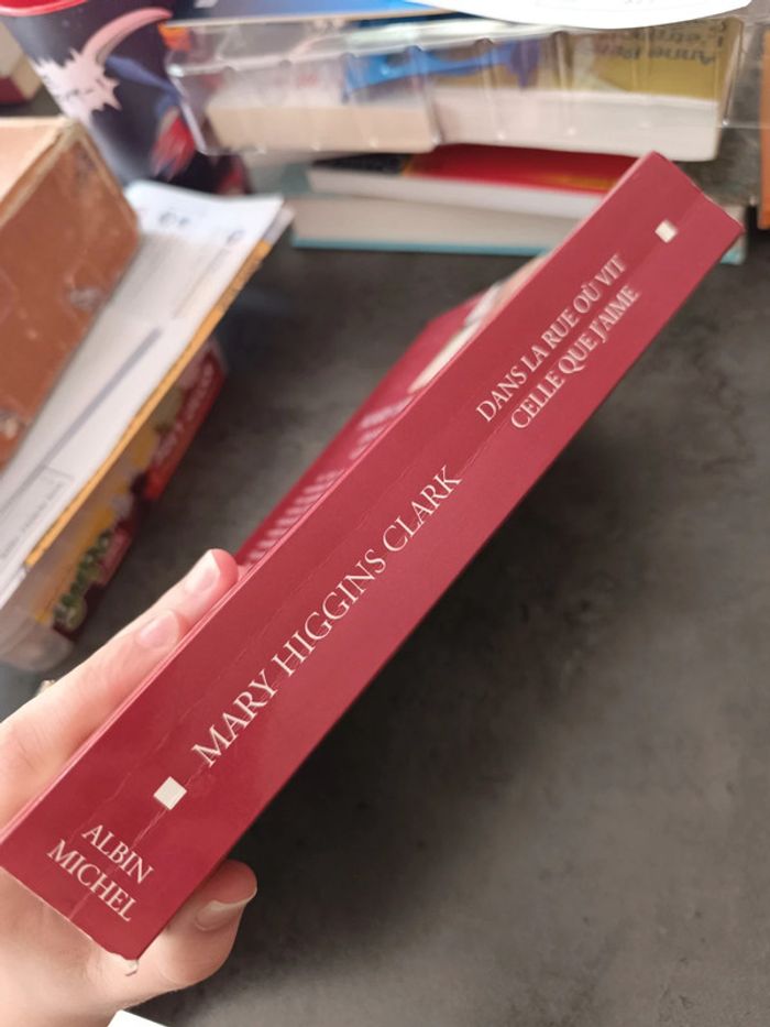 Dans la rue où vit celle que j'aime - Mary Higgins Clark - photo numéro 3