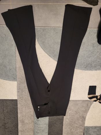 Patte d'éléphant noir