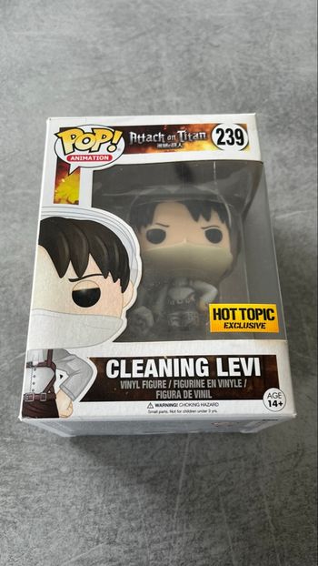 Pop Levi cleaning 239