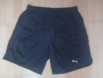 Short puma