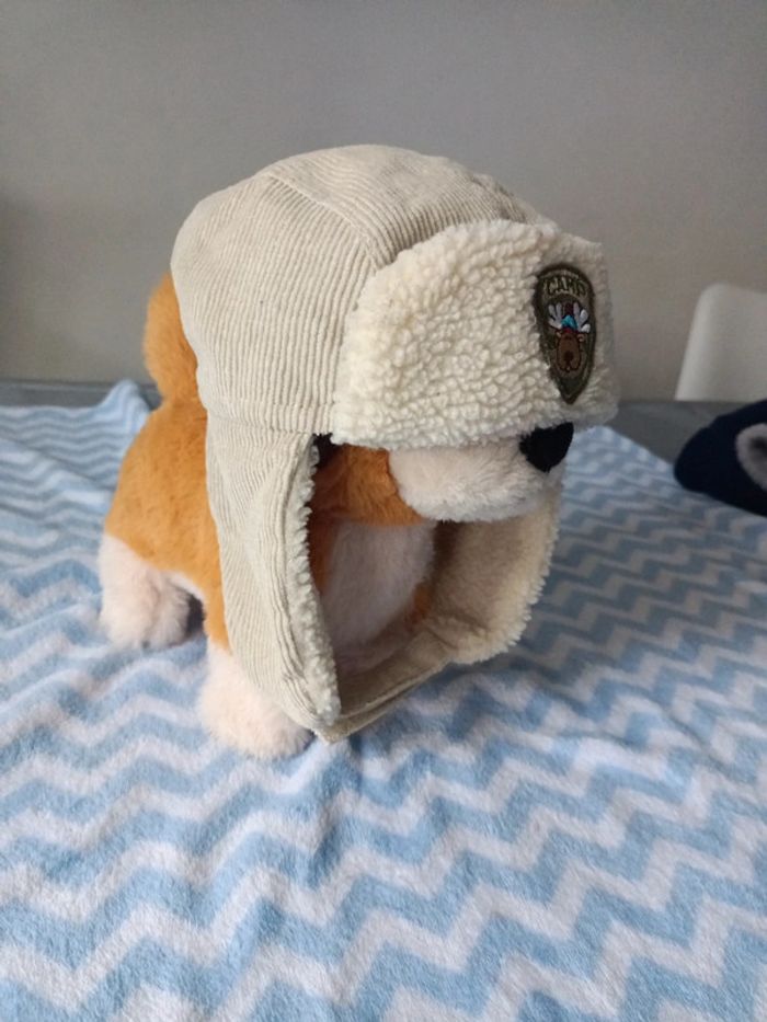 Chapka - photo numéro 2