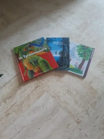 Lot 3 livres enfants
