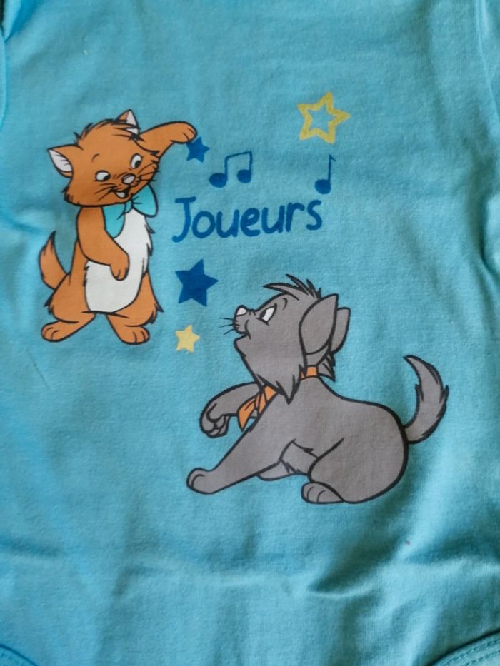 Duo Aristochats - photo numéro 5