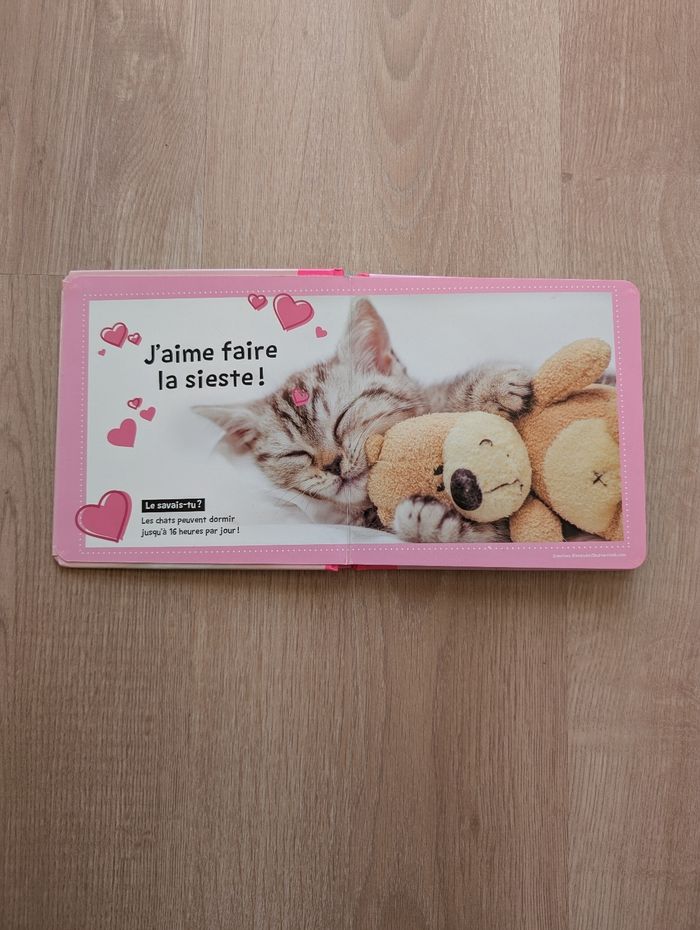 Livre Chats mignons - photo numéro 4