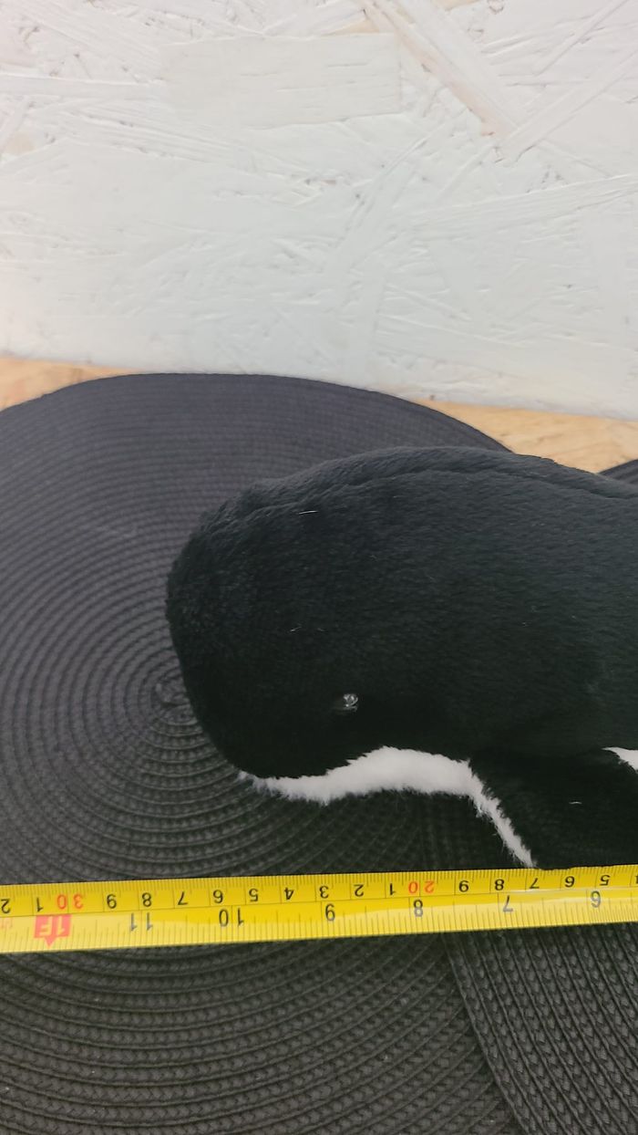 Doudou Marceau, le Baleineau - photo numéro 4