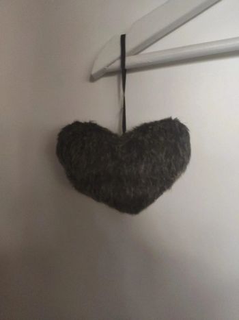 Suspension cœur à poils