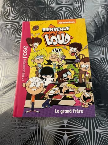 Livre bienvenue chez les loud «  le grand frère