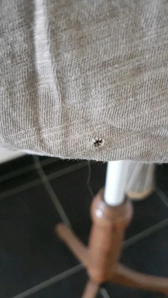 T shirt - photo numéro 3