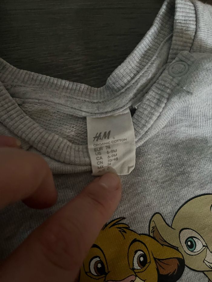 Ensemble Le Roi Lion - photo numéro 2