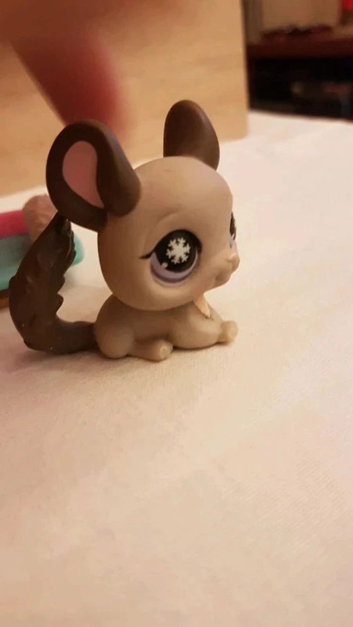 Chinchilla petshop aimanté et sa luge - photo numéro 3