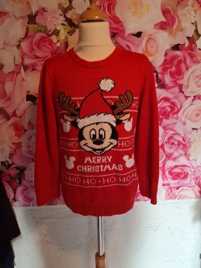 Pulls Mixte - photo numéro 2