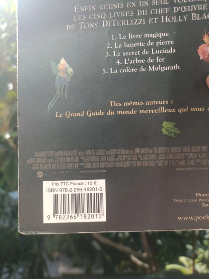 Livre les chroniques de spiderwick - photo numéro 6