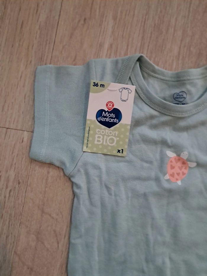 Body manches courtes tortue 36 mois - photo numéro 4