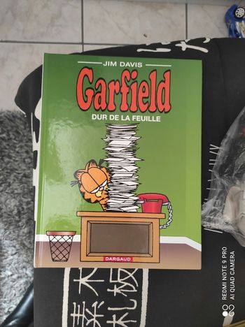 BD Garfield