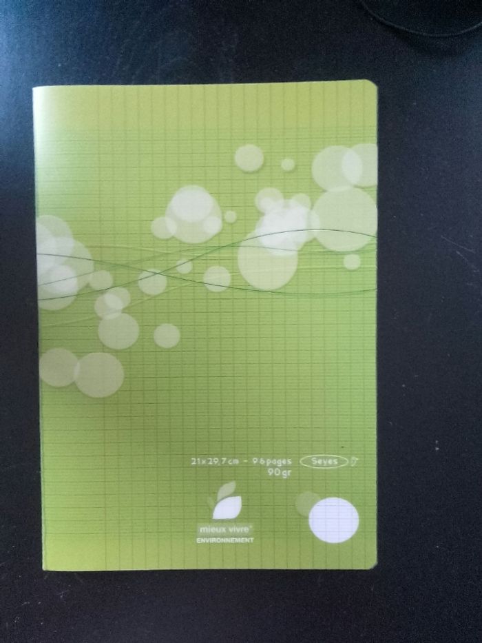 Cahier 21x29,7- 96 pages - vert - grands carreaux