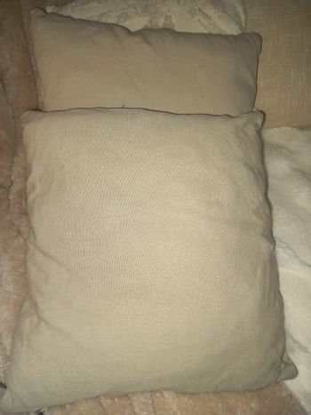 Lot de 2 coussins beige