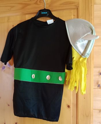 Déguisement Astérix